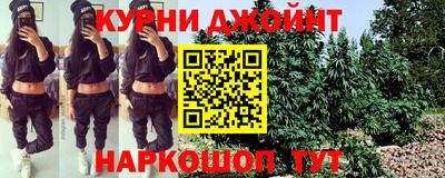 дмт Новозыбков