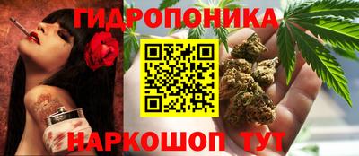 дмт Новозыбков