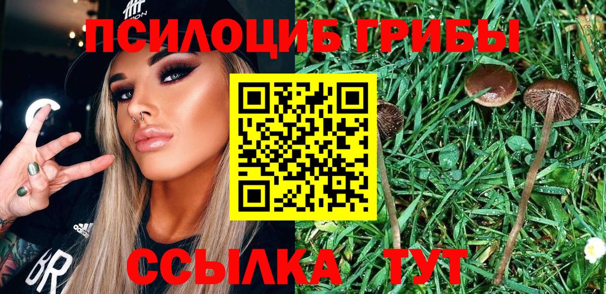 Новошахтинск  Псилоцибиновые грибы MAGIC MUSHROOMS  Вход с VPN 